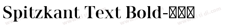 Spitzkant Text Bold字体转换